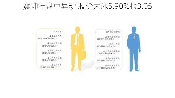 震坤行盘中异动 股价大涨5.90%报3.05
