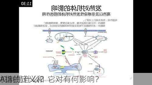 A指的定义和
机制是什么？它对有何影响？