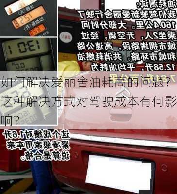 如何解决爱丽舍油耗高的问题？这种解决方式对驾驶成本有何影响？