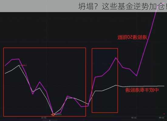 坍塌？这些基金逆势加仓！