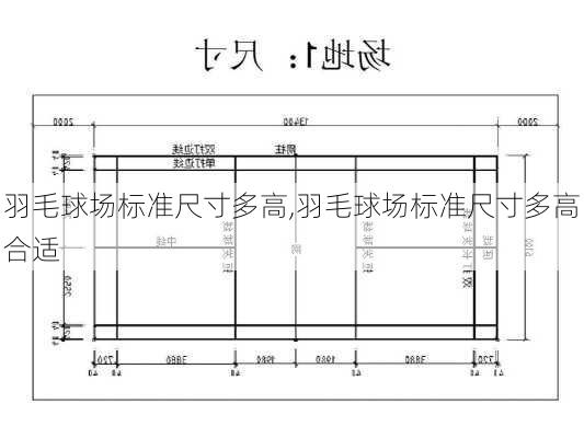 羽毛球场标准尺寸多高,羽毛球场标准尺寸多高合适