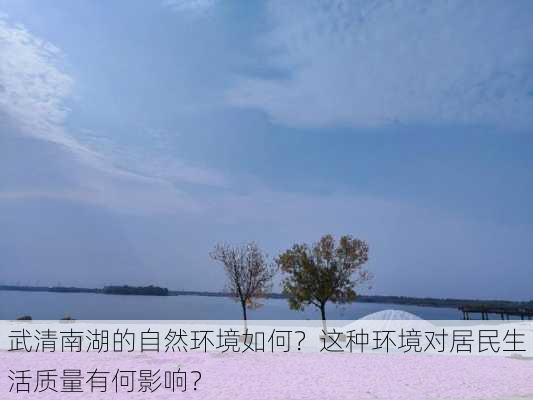 武清南湖的自然环境如何？这种环境对居民生活质量有何影响？