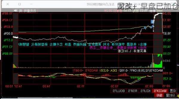 国改+
龙头，早盘已加仓