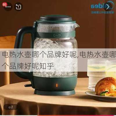 电热水壶哪个品牌好呢,电热水壶哪个品牌好呢知乎