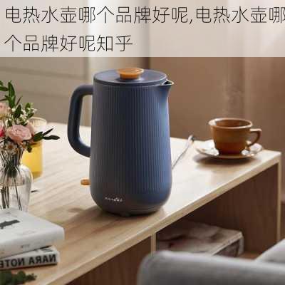 电热水壶哪个品牌好呢,电热水壶哪个品牌好呢知乎