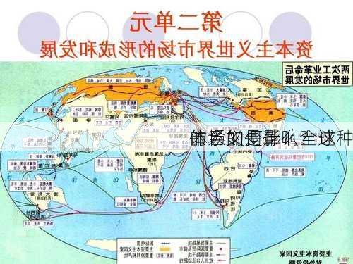 
的含义是什么？这种
市场如何影响全球
体系的变革？