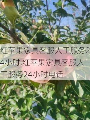 红苹果家具客服人工服务24小时,红苹果家具客服人工服务24小时电话