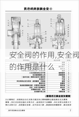 安全阀的作用,安全阀的作用是什么