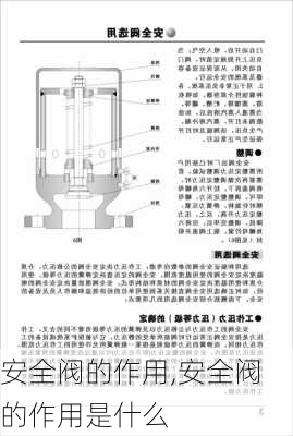 安全阀的作用,安全阀的作用是什么