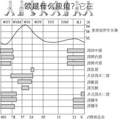 欧是什么单位？它在
领域有何应用？