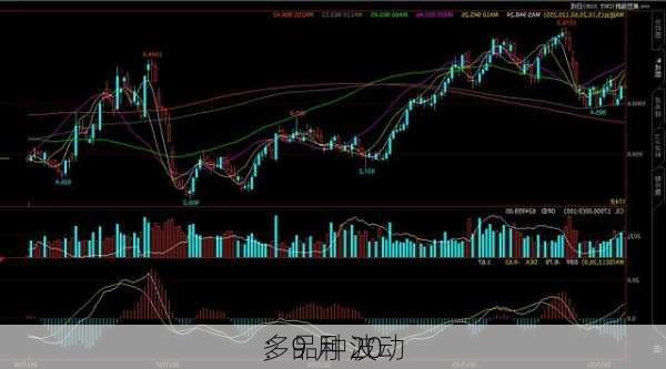 ：9 月 20 
多品种波动