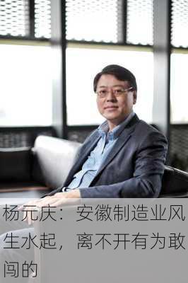 杨元庆：安徽制造业风生水起，离不开有为敢闯的
