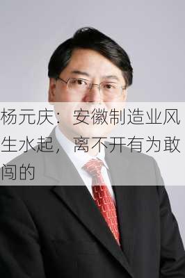 杨元庆：安徽制造业风生水起，离不开有为敢闯的
