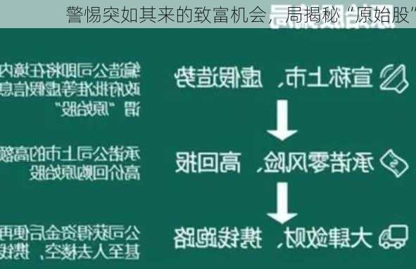 警惕突如其来的致富机会，局揭秘“原始股”
