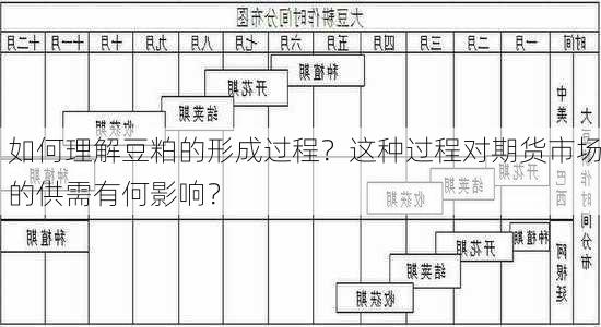 如何理解豆粕的形成过程？这种过程对期货市场的供需有何影响？