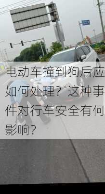 电动车撞到狗后应如何处理？这种事件对行车安全有何影响？