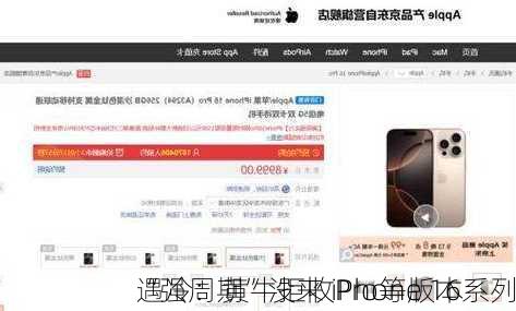 “强周期”没来 iPhone 16系列
遇冷：黄牛拒收Pro等版本