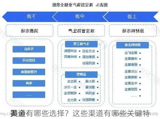 黄金
渠道有哪些选择？这些渠道有哪些关键特
？