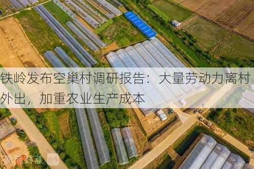 铁岭发布空巢村调研报告：大量劳动力离村外出，加重农业生产成本