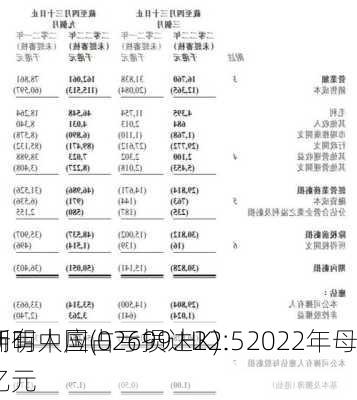 新明中国(02699.HK)：2022年母
拥有人应占亏损达22.5亿元