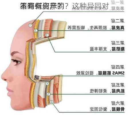 不同纸资产的
策略有何异同？这种异同对
者有何启示？