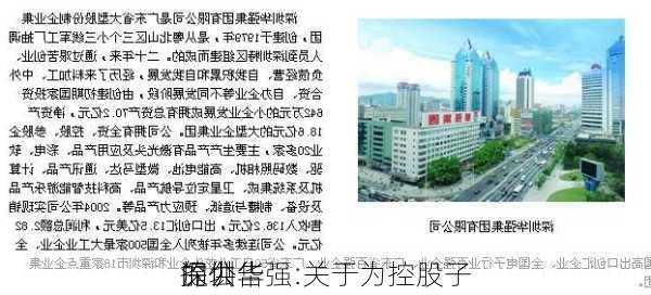 深圳华强:关于为控股子
提供
的公告