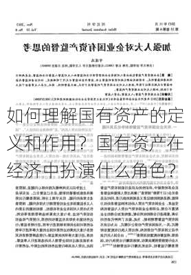 如何理解国有资产的定义和作用？国有资产在经济中扮演什么角色？