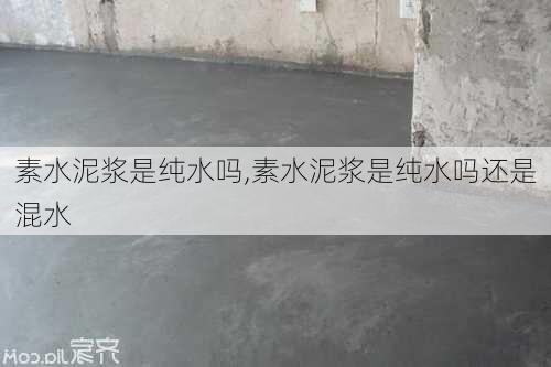 素水泥浆是纯水吗,素水泥浆是纯水吗还是混水