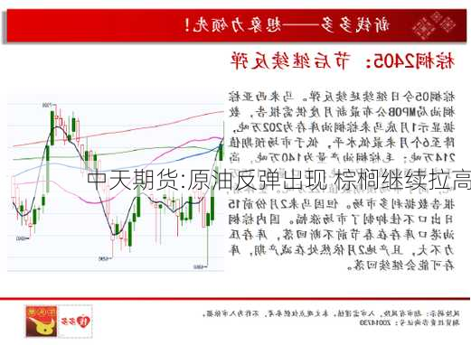 中天期货:原油反弹出现 棕榈继续拉高