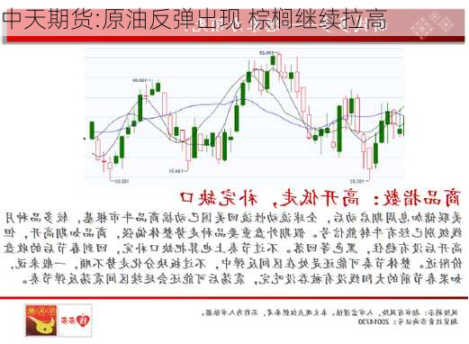 中天期货:原油反弹出现 棕榈继续拉高