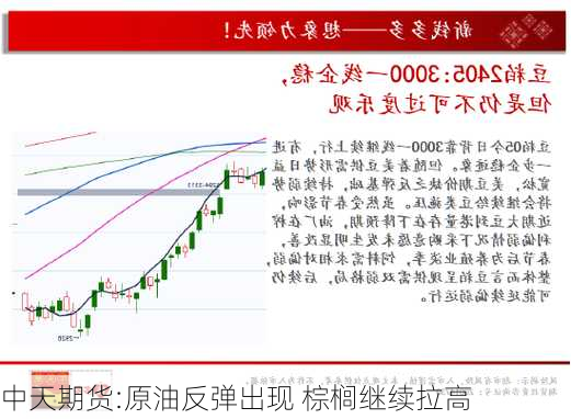 中天期货:原油反弹出现 棕榈继续拉高