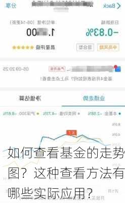 如何查看基金的走势图？这种查看方法有哪些实际应用？