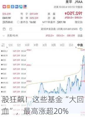 
股狂飙！这些基金“大回血”，最高涨超20%