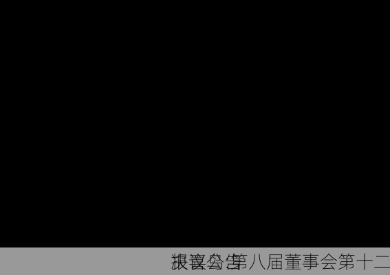 报喜鸟:第八届董事会第十二
决议公告