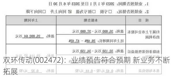 双环传动(002472)：业绩预告符合预期 新业务不断拓展