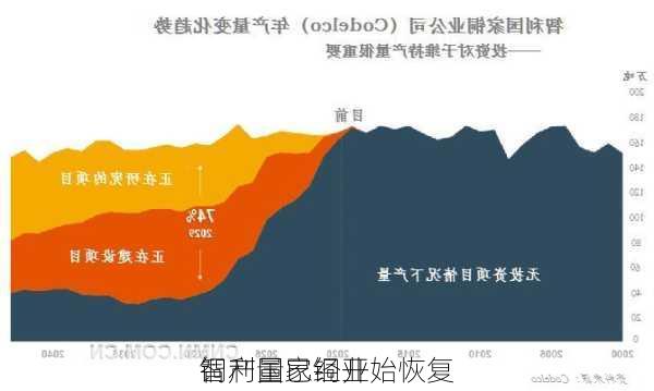 智利国家铜业
铜产量已经开始恢复