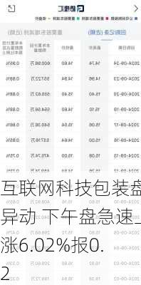 互联网科技包装盘中异动 下午盘急速上涨6.02%报0.2