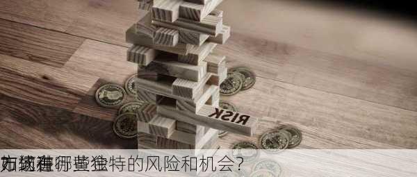 如何在
市场进行黄金
？这种
方式有哪些独特的风险和机会？