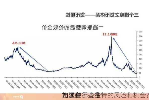 如何在
市场进行黄金
？这种
方式有哪些独特的风险和机会？