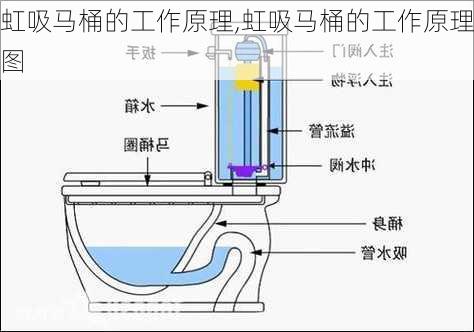 虹吸马桶的工作原理,虹吸马桶的工作原理图