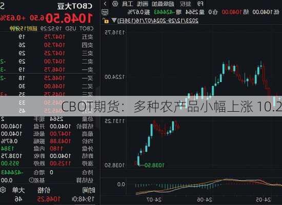 CBOT期货：多种农产品小幅上涨 10.2