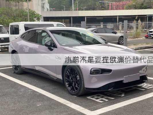 小鹏汽车：在欧洲
汽车不是要提供廉价替代品