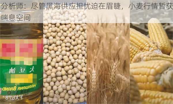 分析师：尽管黑海供应担忧迫在眉睫，小麦行情暂获喘息空间