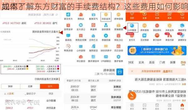 如何了解东方财富的手续费结构？这些费用如何影响
成本？