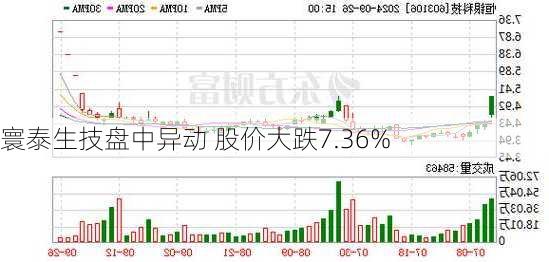 寰泰生技盘中异动 股价大跌7.36%