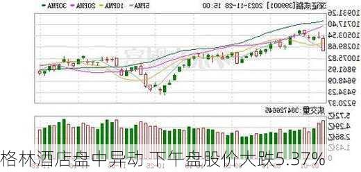 格林酒店盘中异动 下午盘股价大跌5.37%