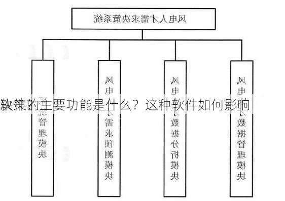 软件的主要功能是什么？这种软件如何影响
决策？