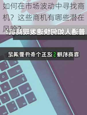 如何在市场波动中寻找商机？这些商机有哪些潜在风险？