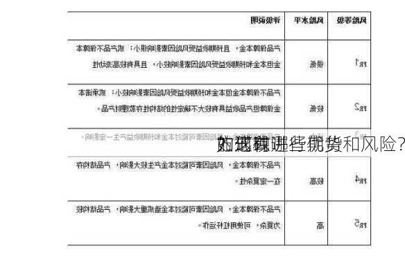 如何以
的形式进行期货
？这种
方式有哪些优势和风险？