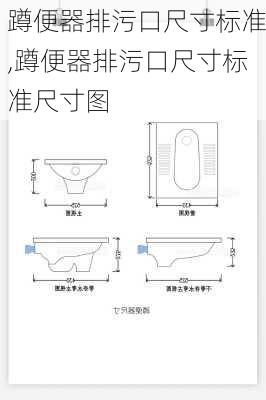 蹲便器排污口尺寸标准,蹲便器排污口尺寸标准尺寸图